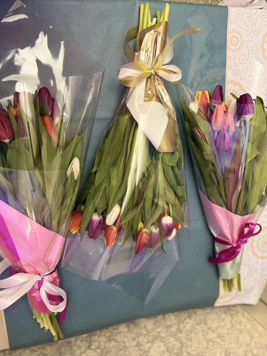 Продам тюльпаны 600