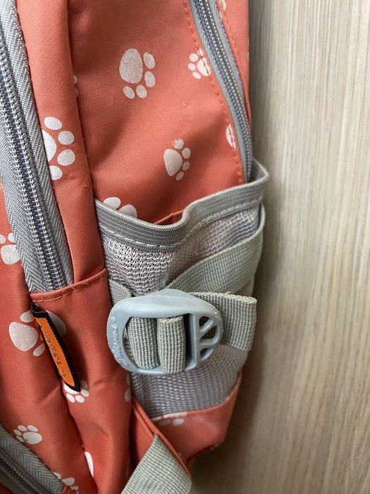 Ghiozdan pentru scoala