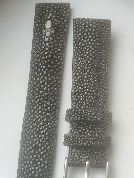 Curea de  ceas pisica de mare