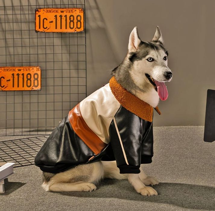 Бомбер для собак крупных пород. Утепленный