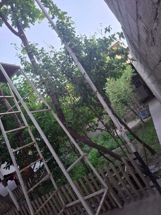 Sotiladi shinam va qulay uy! Галаосиё шахри