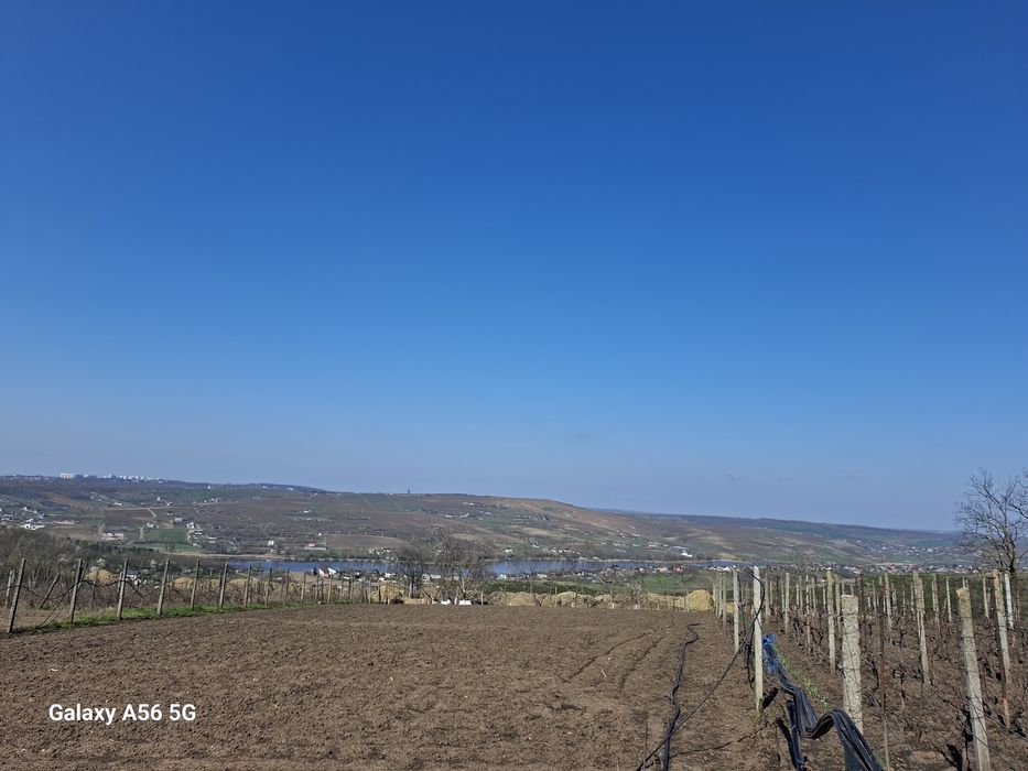 Teren Aroneanu 1000 mp | Vedere lac + oraș | Intravilan