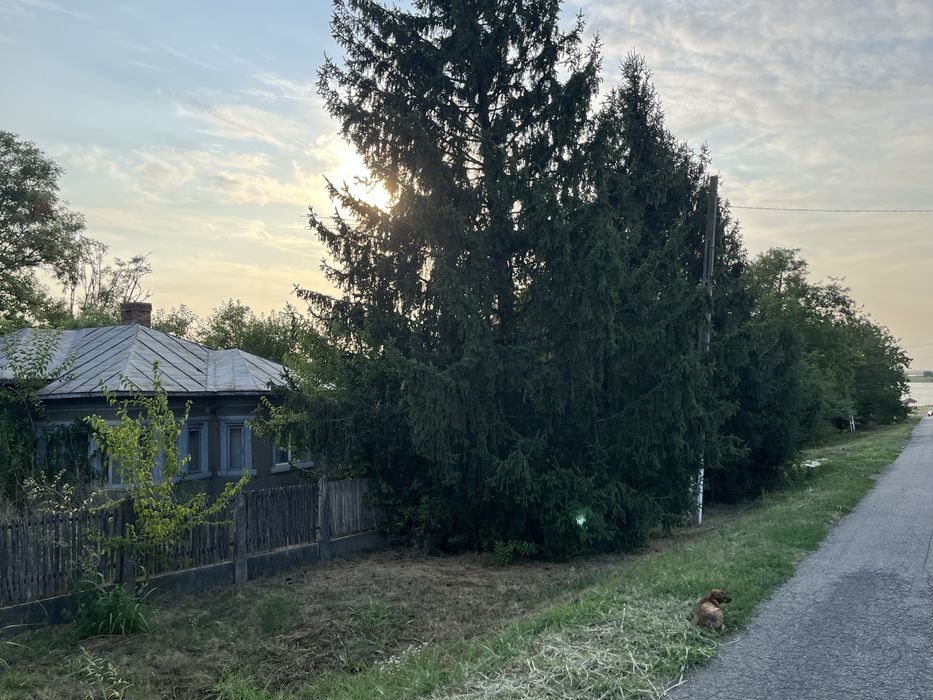 Vand casa in sat Bosneagu