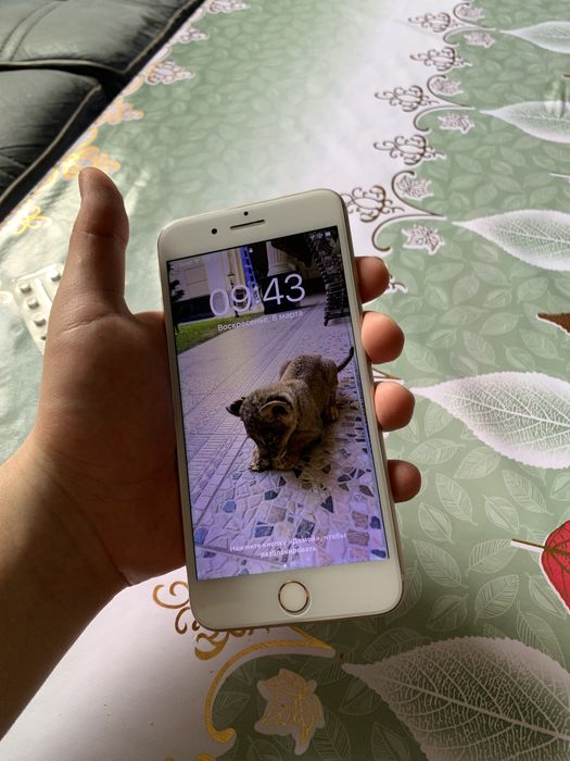 Iphone 7 plus ideal sostayanada