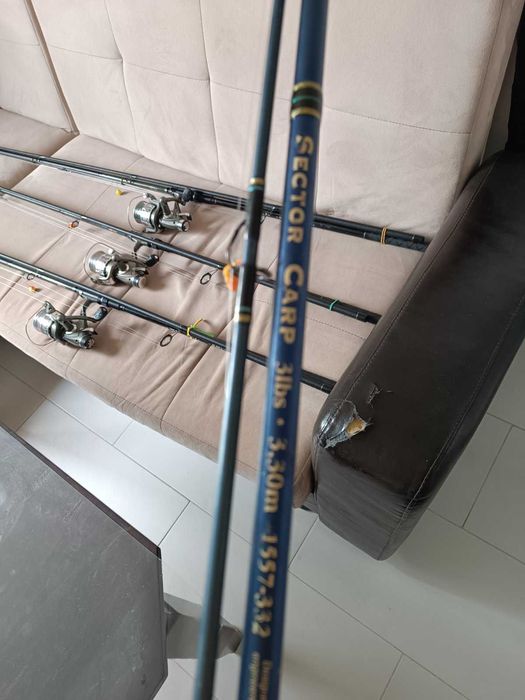 Въдици за шаран, сом