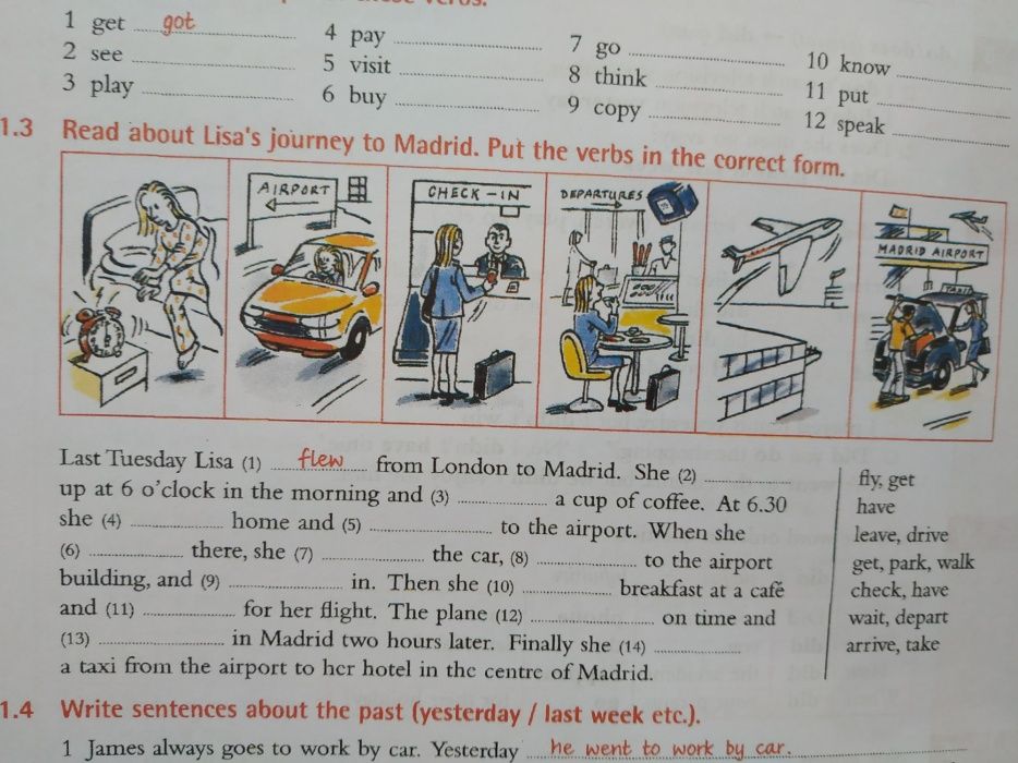 Essential Grammar in Use ( Elementary)