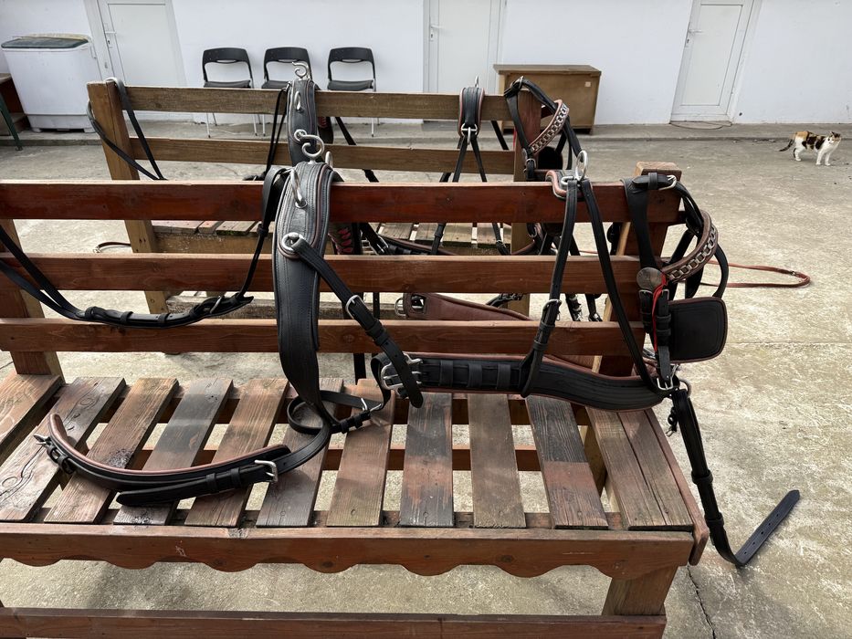 Vand doua hamuri complete de maraton/trasura!