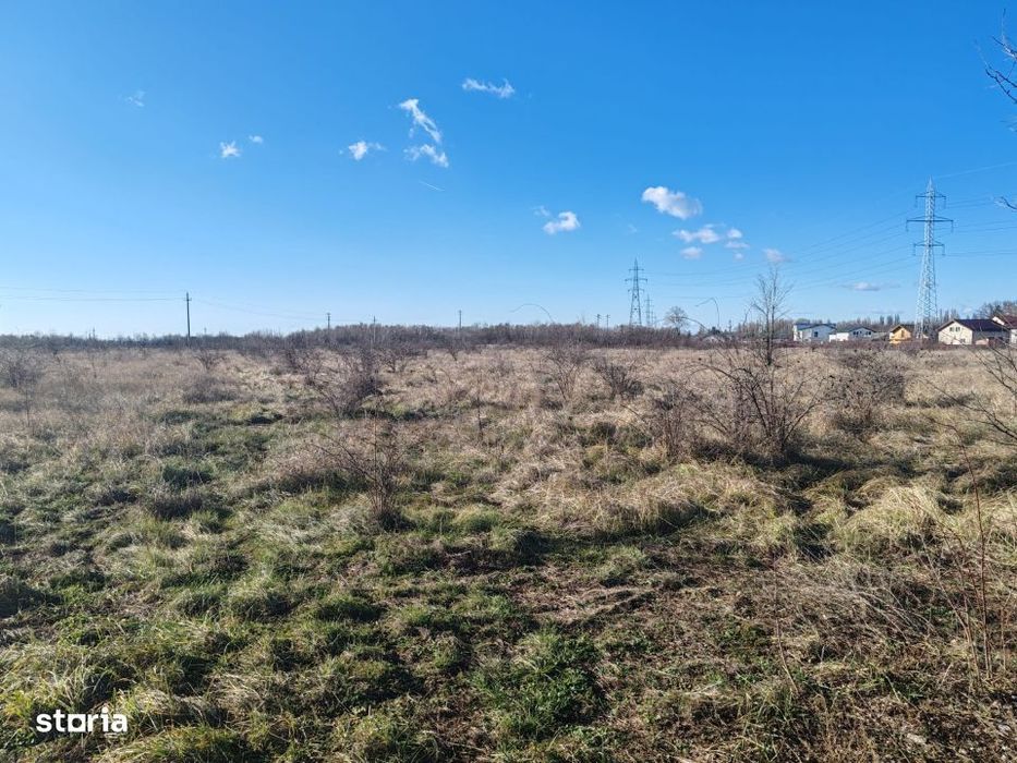 Teren Joita -  Bacu - Dragomiresti