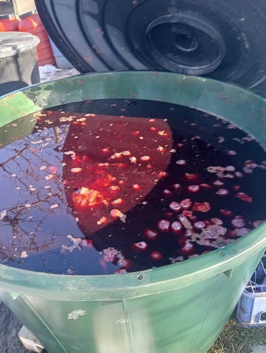 Vand borhot de prune pentru tuica