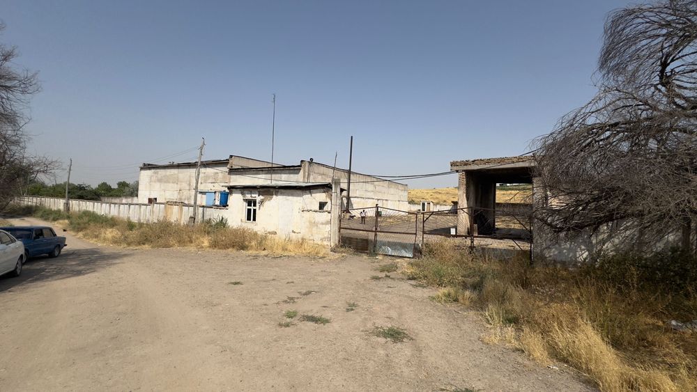 Ishlab chiqarish uchun 62 sotix joy, 500 tonna xolodilnigi bilan