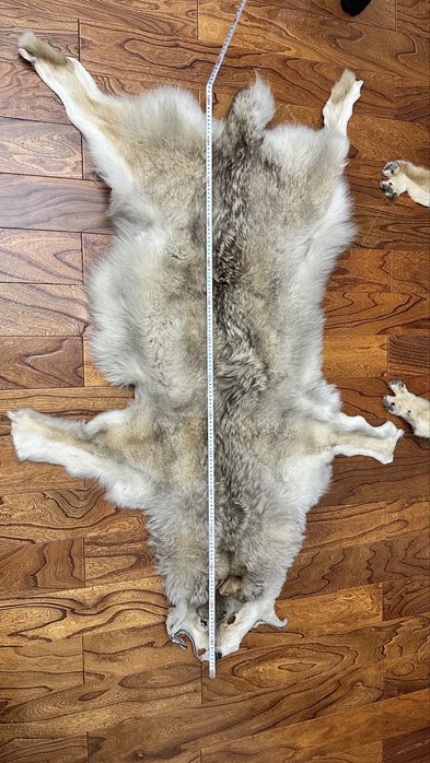 Волк арлан мех натуральный
