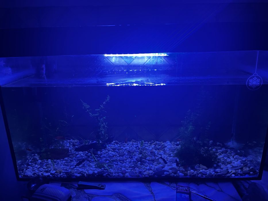 Продам аквариум взборе