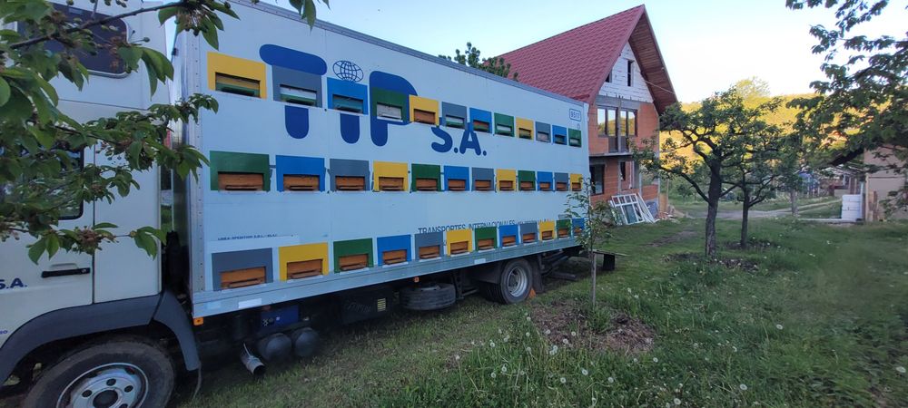 Omologat Apicol- camion MAN 12t