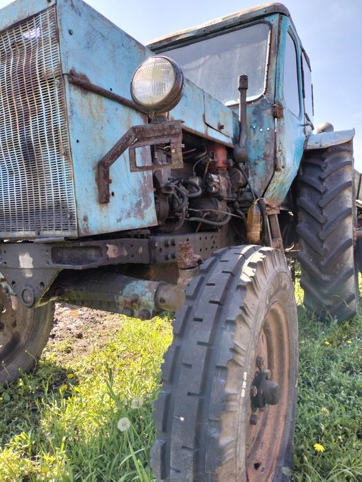 Трактор МТЗ 50, двигатель МТЗ 80