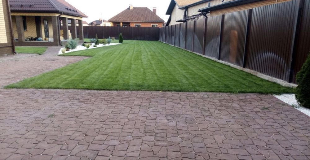 Газон англиский спортивный