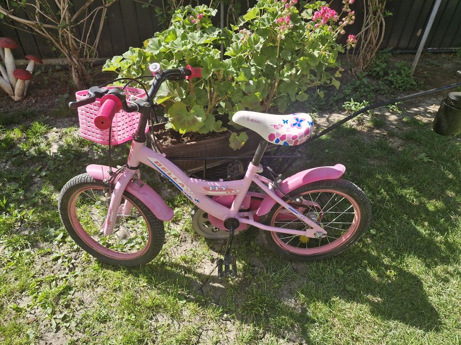 Bicicleta fetite