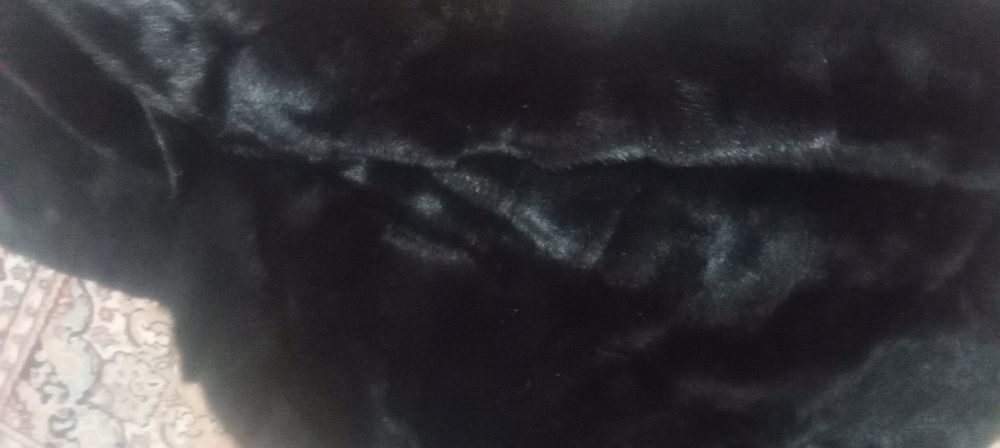 Шуба сатылады бағасы 100000.