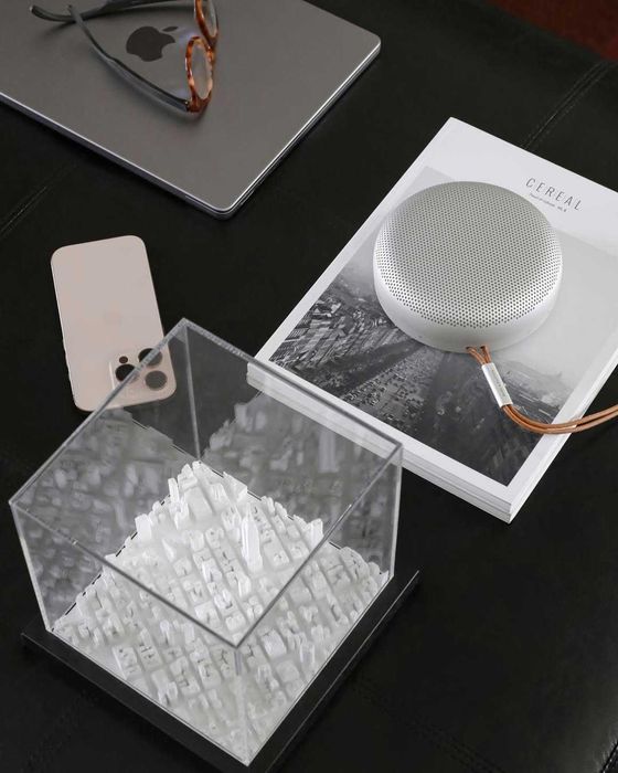Bang & Olufsen Beosound A1 Gen2