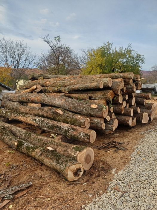 Vand lemn..taiat,crapat.