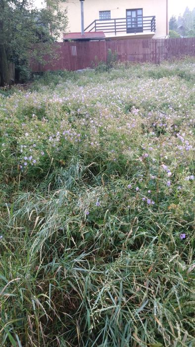 Teren intravilan Sinaia