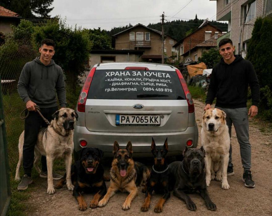 Храна за кучета