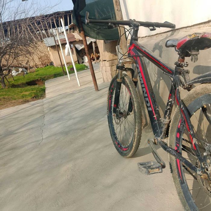Velik, yaxshi holatda