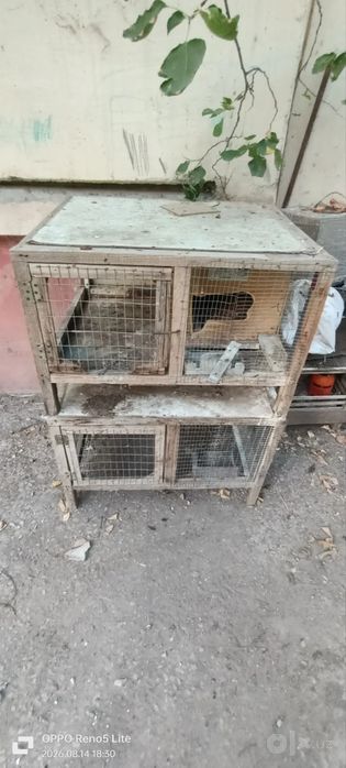 Кафаслар сотилади