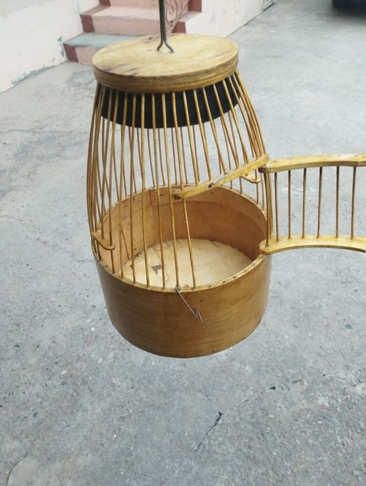 Italiya bedanaga qovoq bor sotiladi