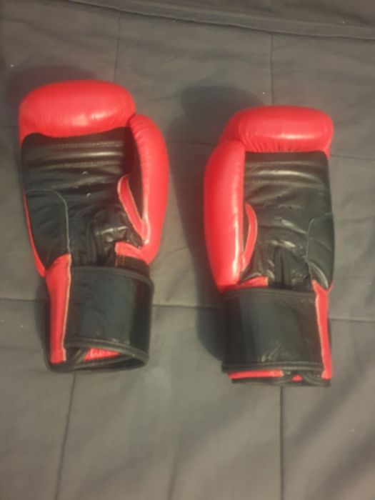 Боксови ръкавици 12 oz spartan sport