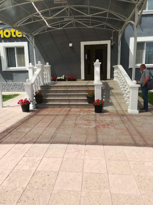 Продам болясины  4 вида