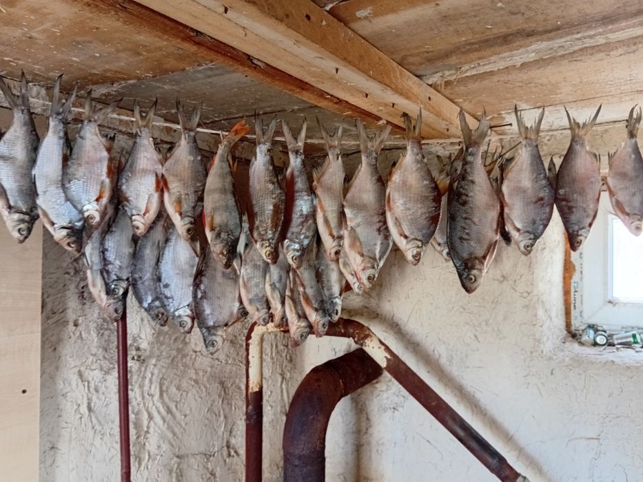 Продам вяленую рыбу