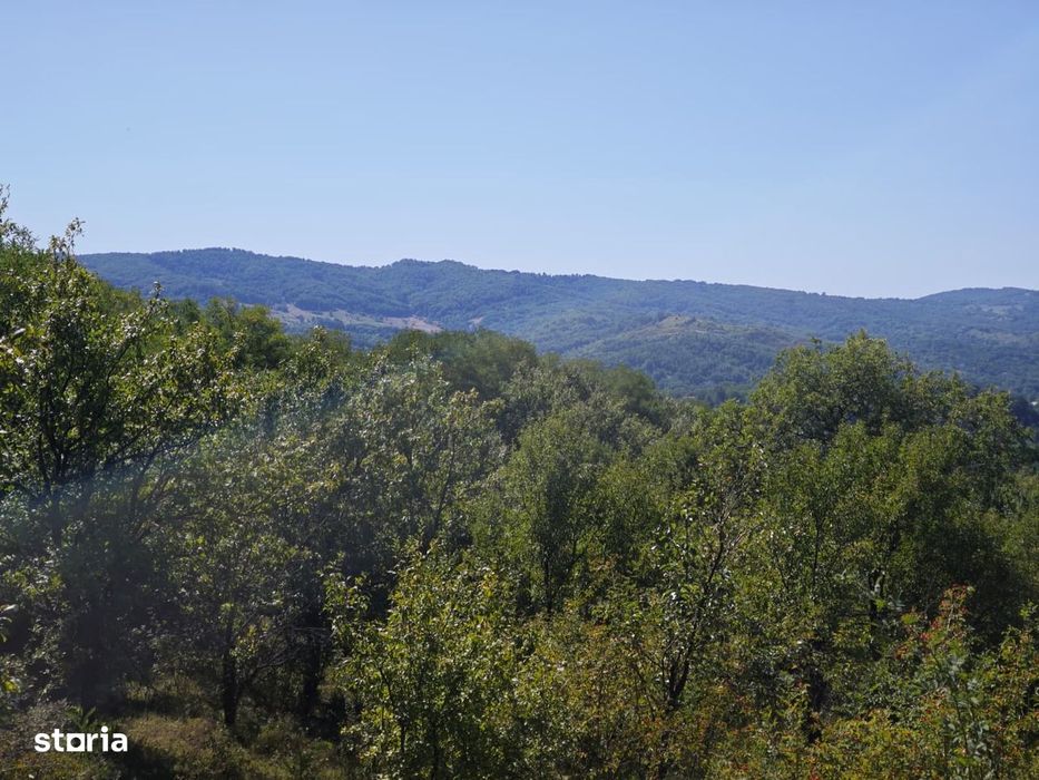 Teren intravilan cu livada 9000mp