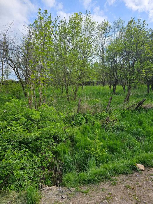Teren intravilan/ Loc de casă