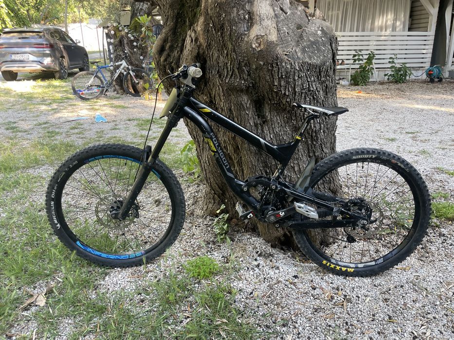 Polygon Collosus DHX