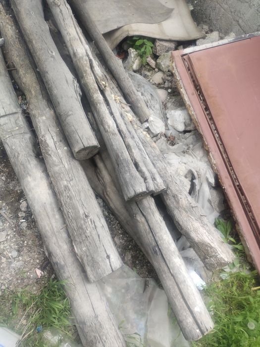 Кругляки срочноо