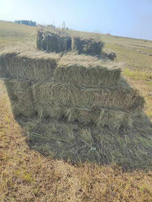 Сено в тюках и рулонах
