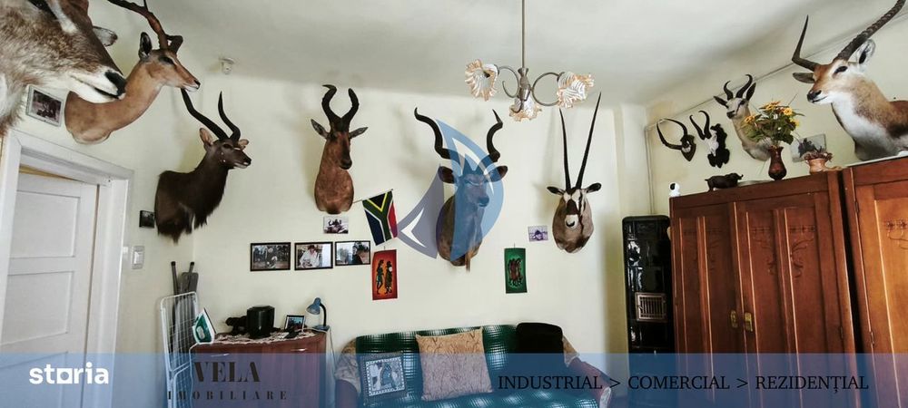 Casa singur in curte, semicentral, acces auto, 310 mp teren
