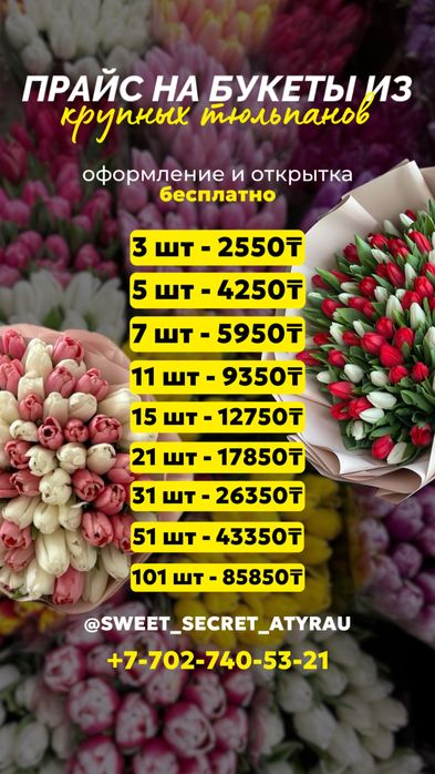 Тюльпан Белларуский