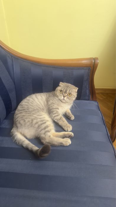 Отдам в хорошие руки