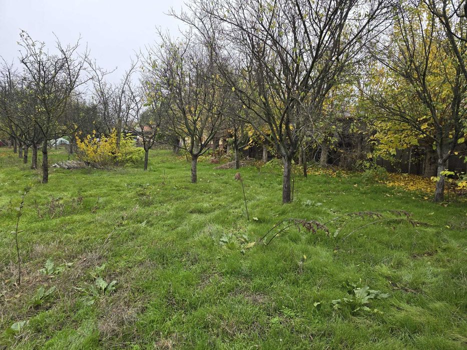 Vand Case comuna Vedea judetul Giurgiu