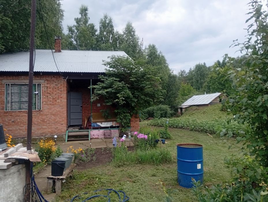 Дача с пасекой (за Тарханкой)