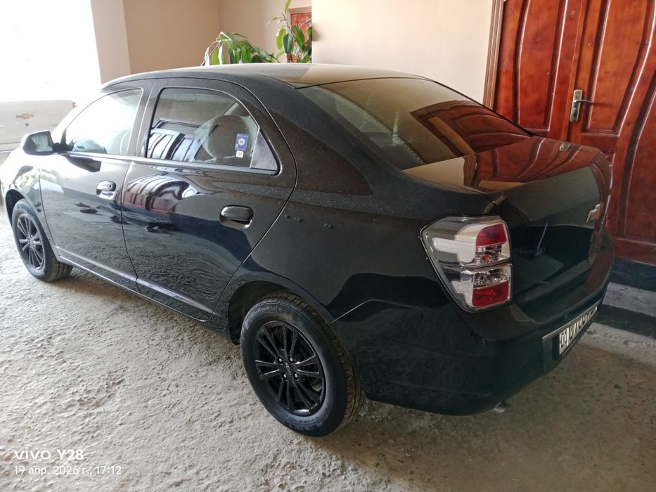 COBALT MIDNIGHT qorabumer sotiladi