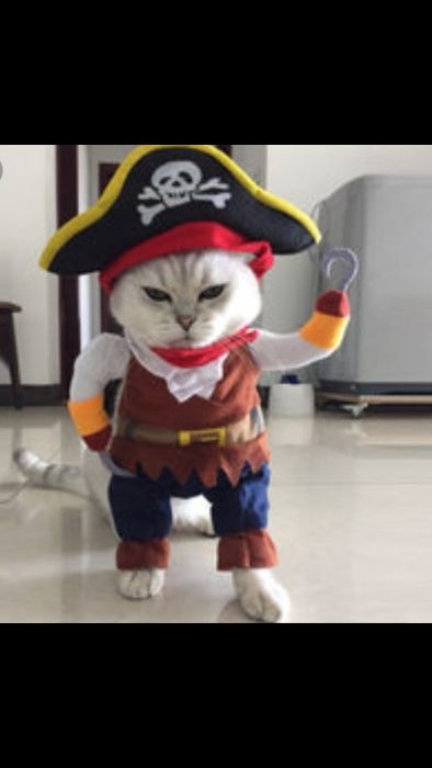 Костюмчик для котика. На хэллоуин.