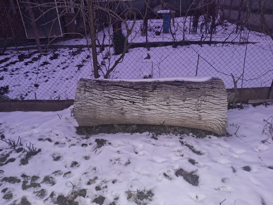 Se vinde buatean nuc