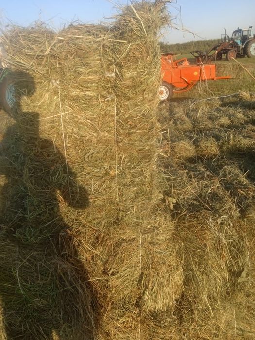 Продам Сено в тюках
