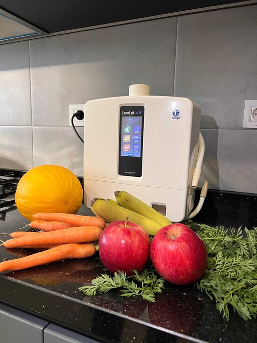 Ionizator de apă Kangen Leveluk K8 – stare impecabilă