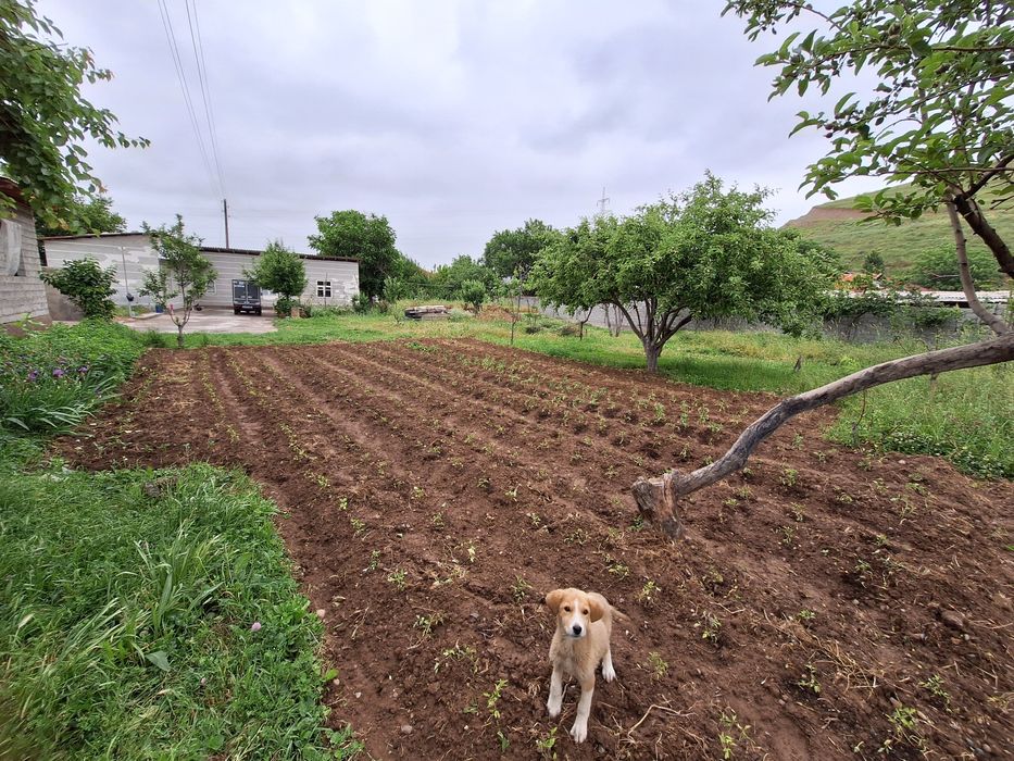 Бизнес ва дача учун ер турар жой участкаси