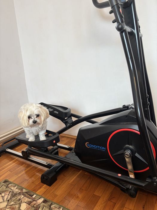 Bicicleta eliptica - Cross trainer Kondition - aproape nou