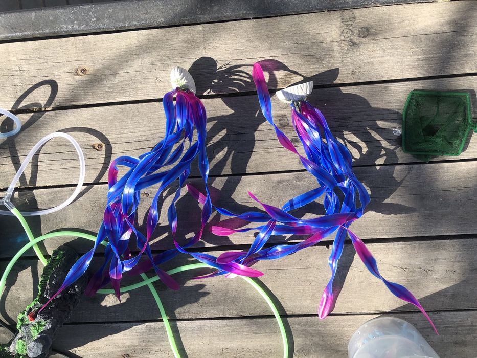 Аквариум барлык заттарымен сатылады