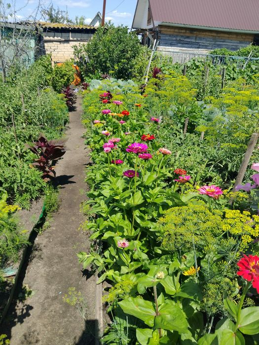 Продается дача общество Мотор